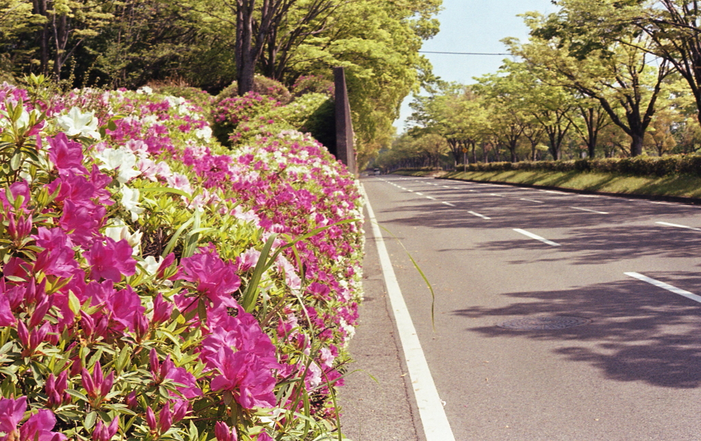 赤が入る三枚の写真