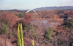 硝子越しの風景