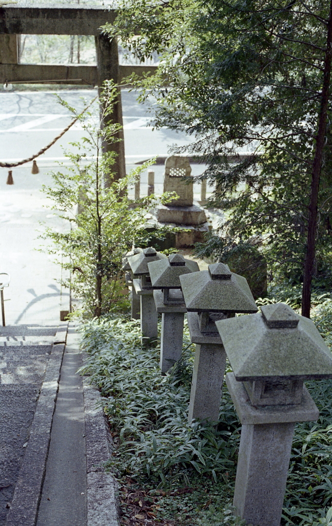 灯篭並ぶ石段の参道
