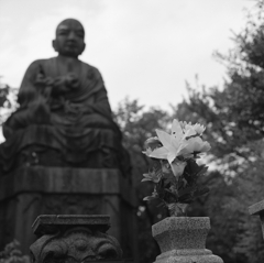弘法様への仏花