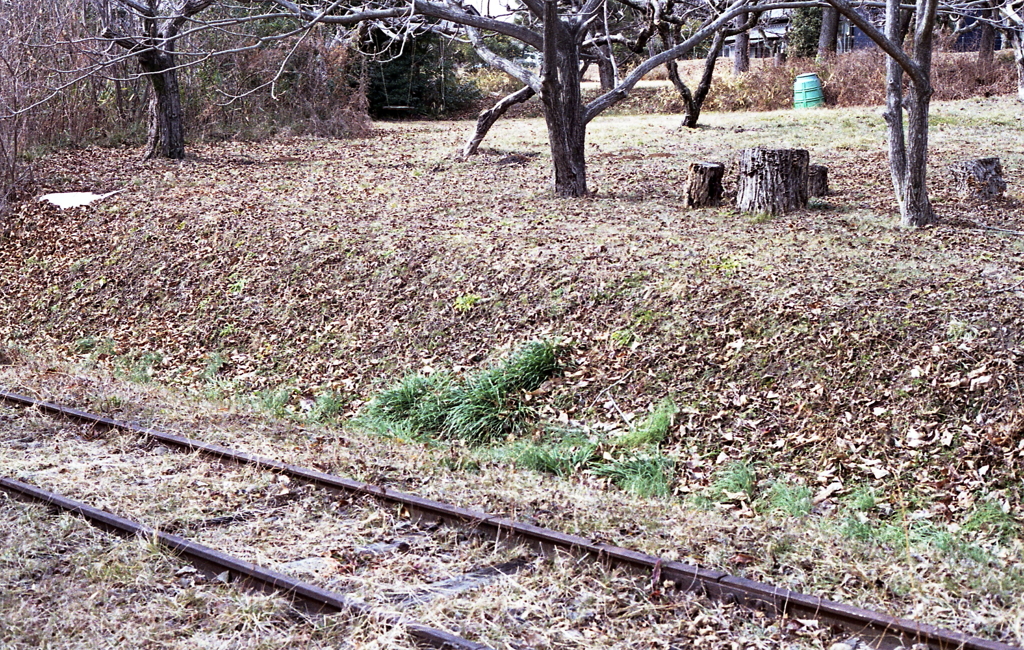 廃線脇の庭先の風景