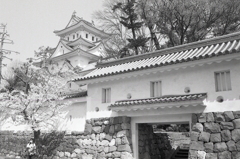 大垣城外観