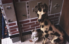 微動だにしないダルメシアン