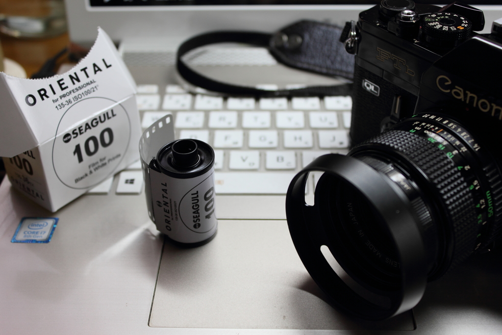 SEAGULLの試写はFTｂ－Nで…