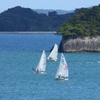 多聞山から松島湾を望む