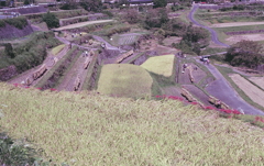 展望パーキングからの風景