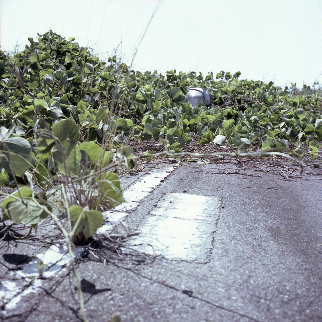 閉ざされた道路