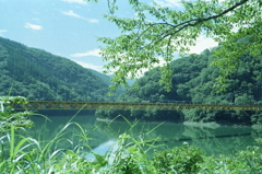 九頭竜川に架かる大きくて黄色い吊り橋
