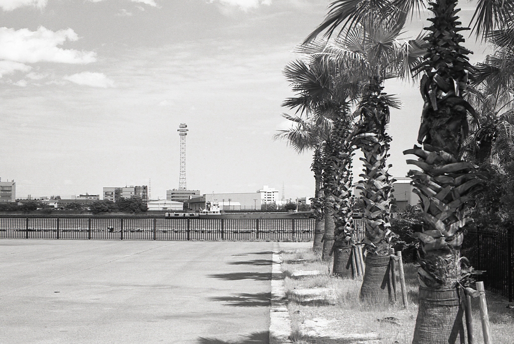 堀川河口に停泊する船