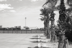 堀川河口に停泊する船