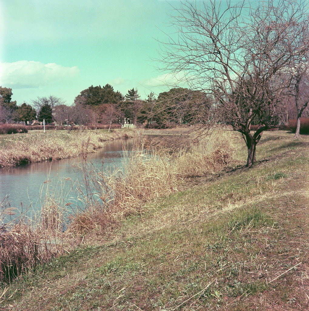 戸田川風景