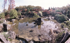 庭園池に小童（こわっぱ）ひとり