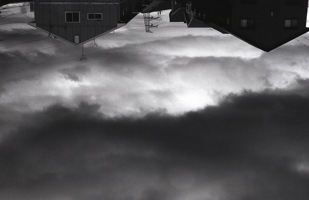 今日もマリさんぽっ！