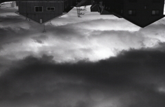 今日もマリさんぽっ！