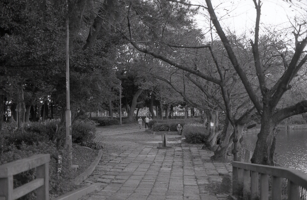 猫を膝上に置き微動だにせず…