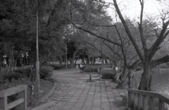 猫を膝上に置き微動だにせず…