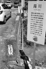 濁川（にごりっかわ）