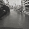 黒い川