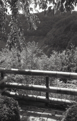 渓谷を見下ろす竹の防護柵
