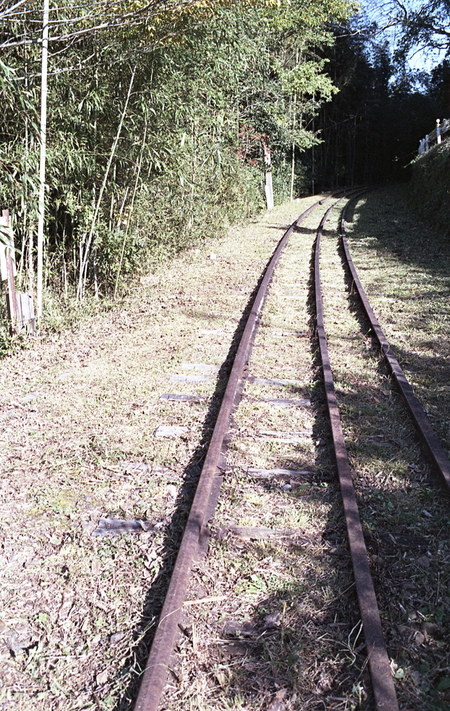 残鉄路を歩く