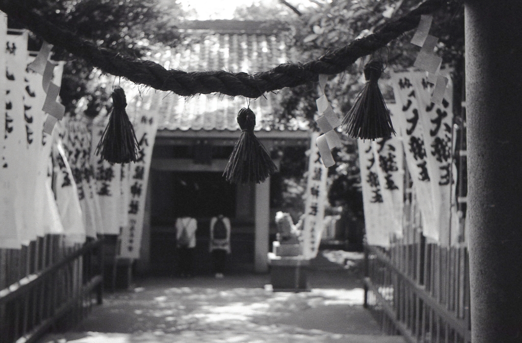 鳥居の注連縄から龍神様の参拝者