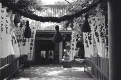 鳥居の注連縄から龍神様の参拝者