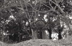 頬杖する眼差し