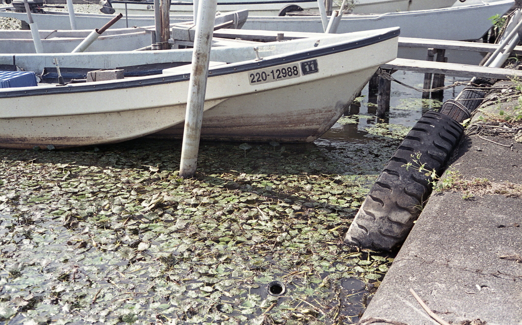 小さな漁港の古タイヤ