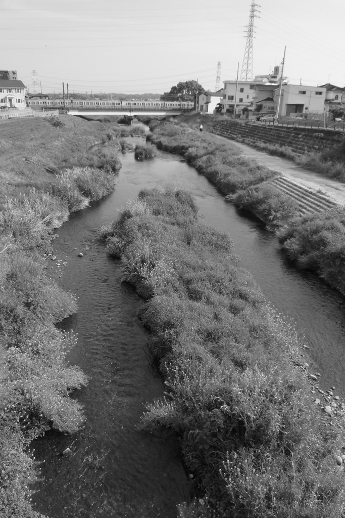 四月の内津川風景