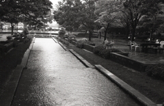 雨のカナール