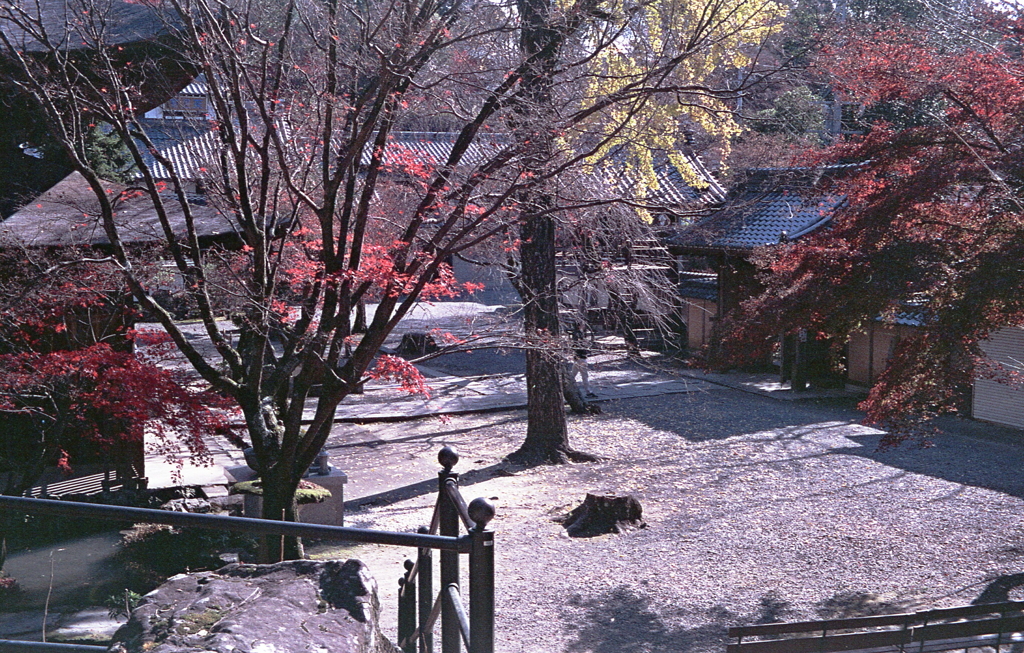 定光寺境内風景