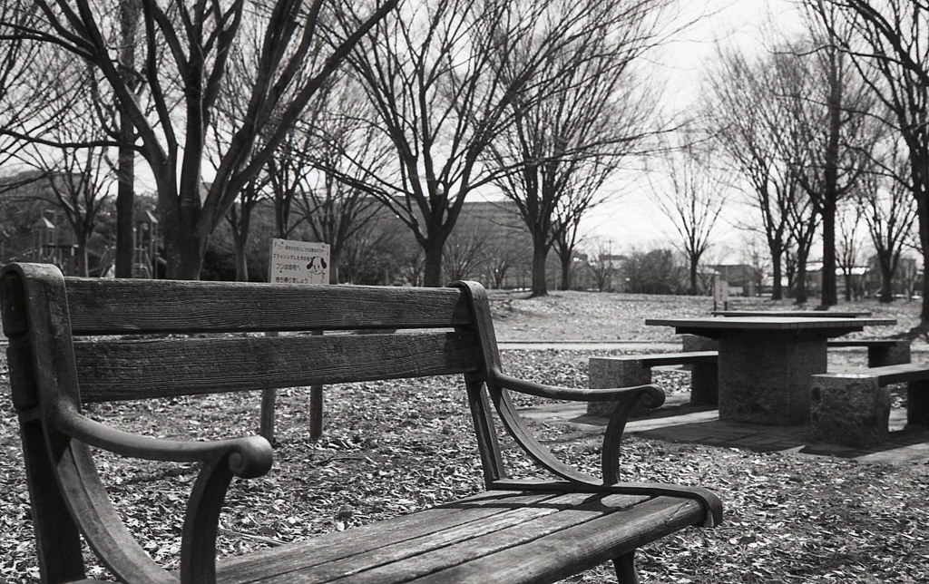 風強く寒いベンチには誰もいない