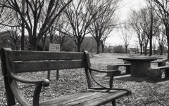 風強く寒いベンチには誰もいない