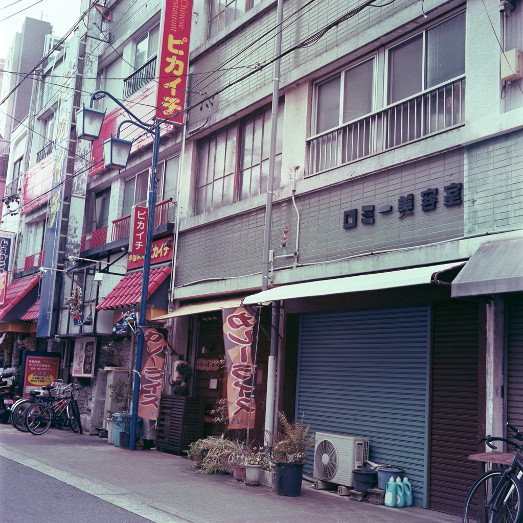 雑と居
