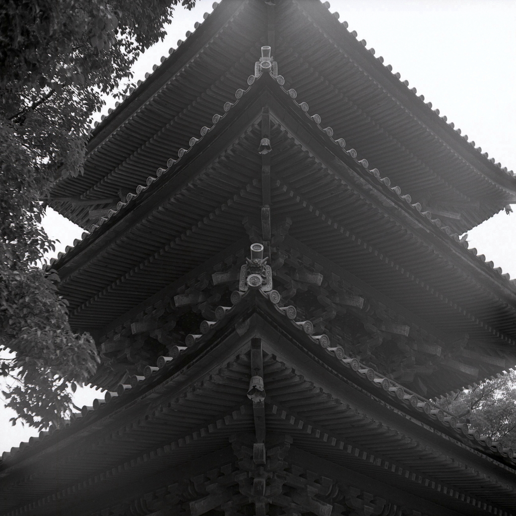 瓦の先の獅子巴蓋（ししともえぶた）