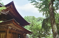 夏の定光寺