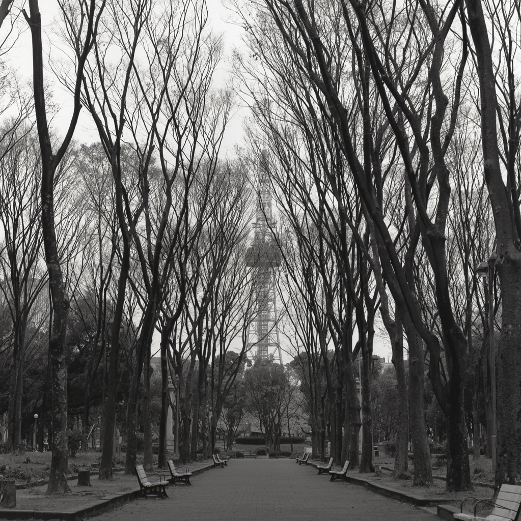 2017年４月撮影のセントラルパーク