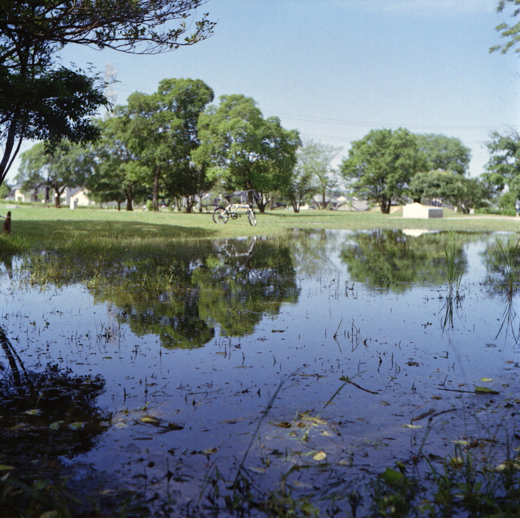 水溜りの風景