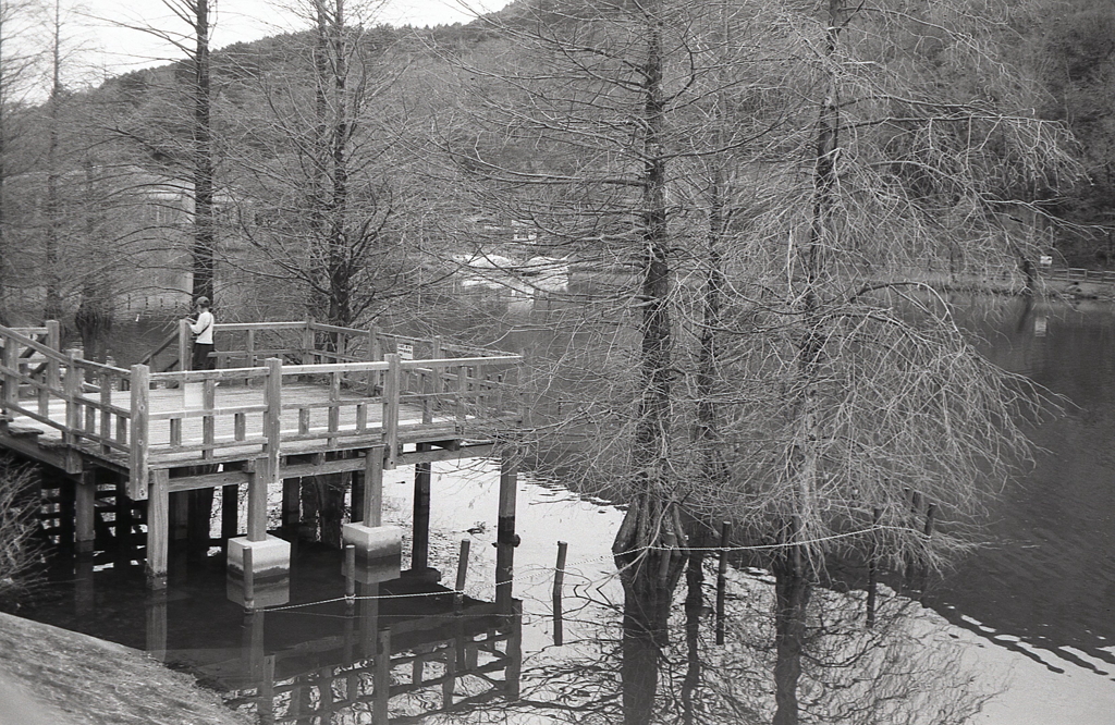 Minolta HI-MATIC E 試写Ⅳ