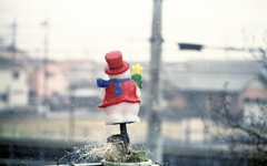 雪が降ってきた。　～今日の現像より