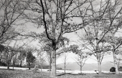 木々も美しく感じる冬の東御・芸術むら公園