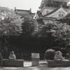 岡崎城と竹千代と家康