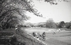 散り花にボール追う少年たち