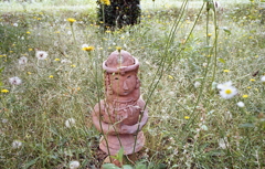 すこし寂しげ…女性かな？