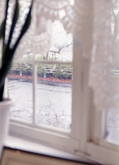 ISLANDの窓辺