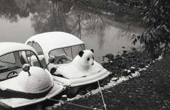 寒そうなパンダ