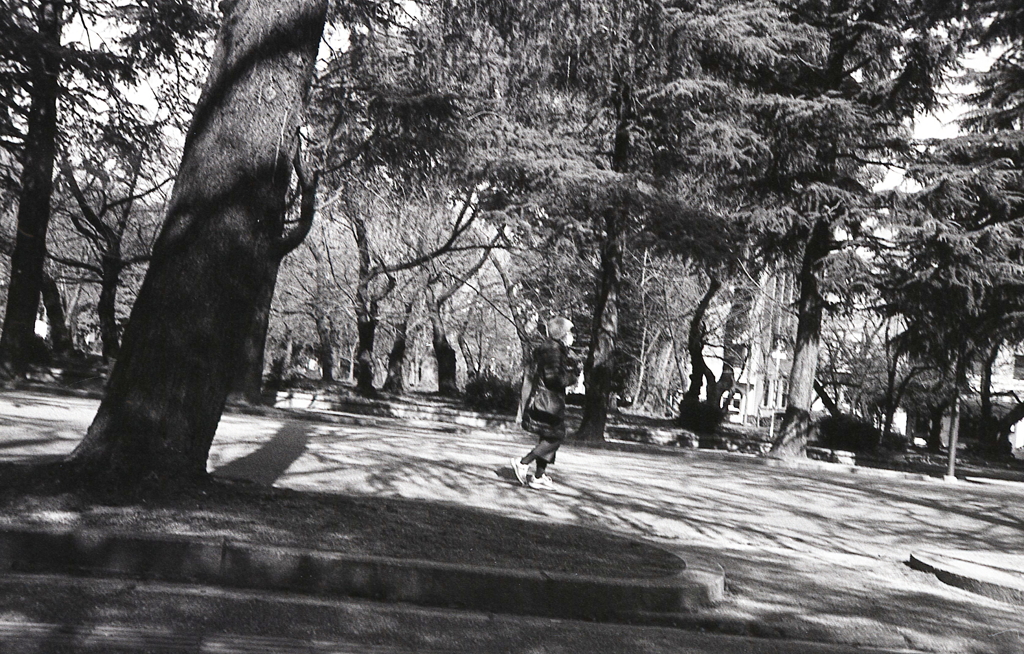 まだまだ陽が高い、鶴舞公園を歩こう…