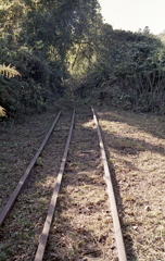 雑木林へつづく残鉄路