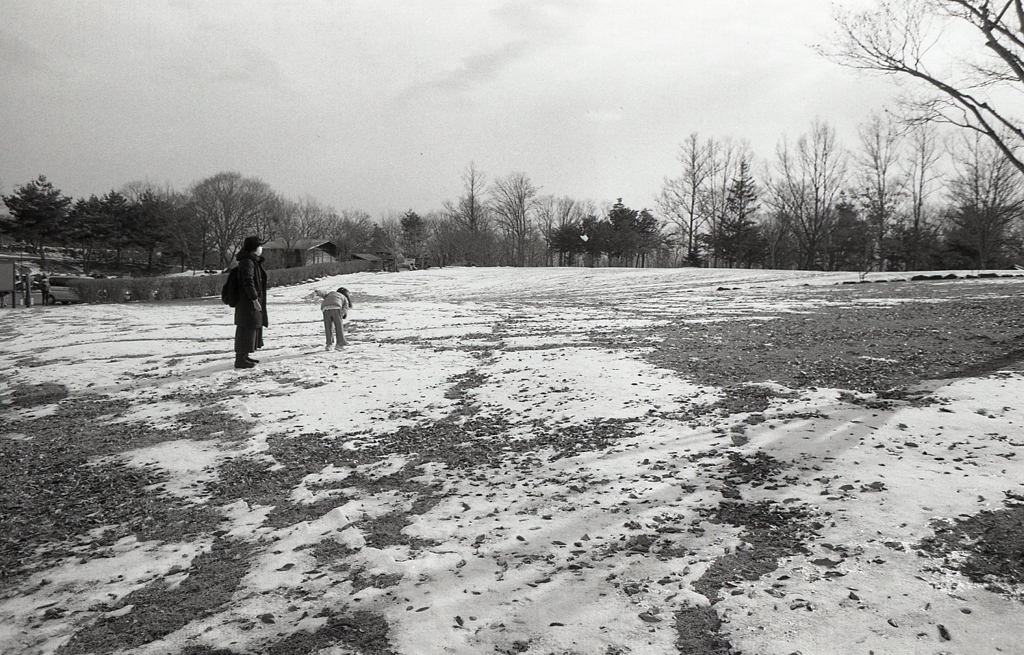 雪玉を投げる孫