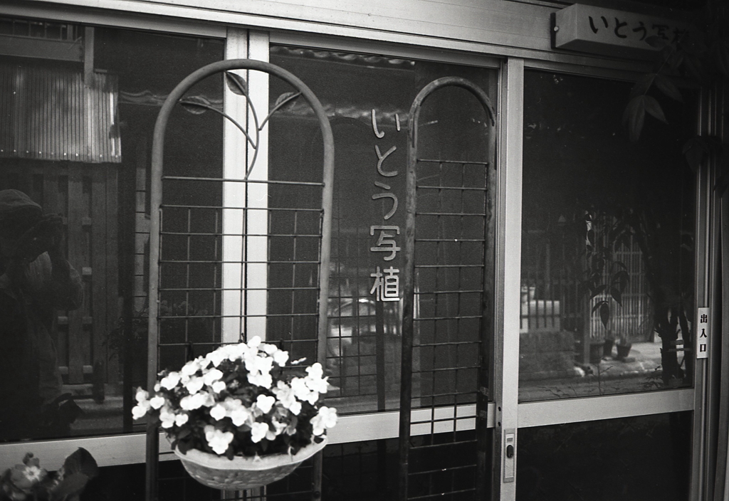 写植屋さんって？